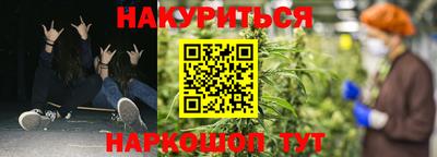 apvp Краснодар